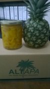 TROCITOS DE PIA EN  MIEL DE ABEJA