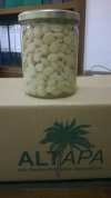 CHOCHOS (ALTRAMUZ) EN AGUA SAL